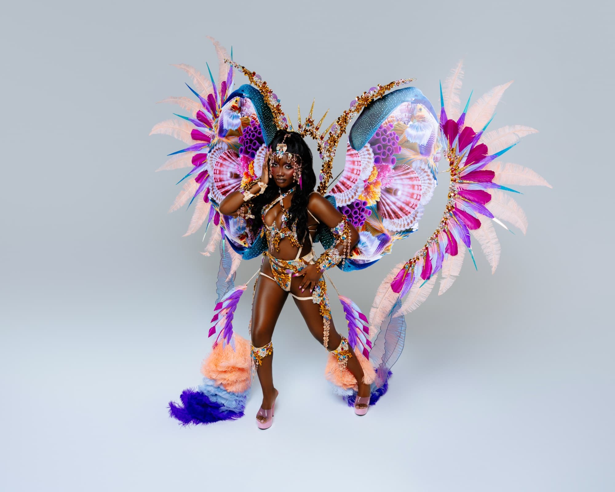 Package image