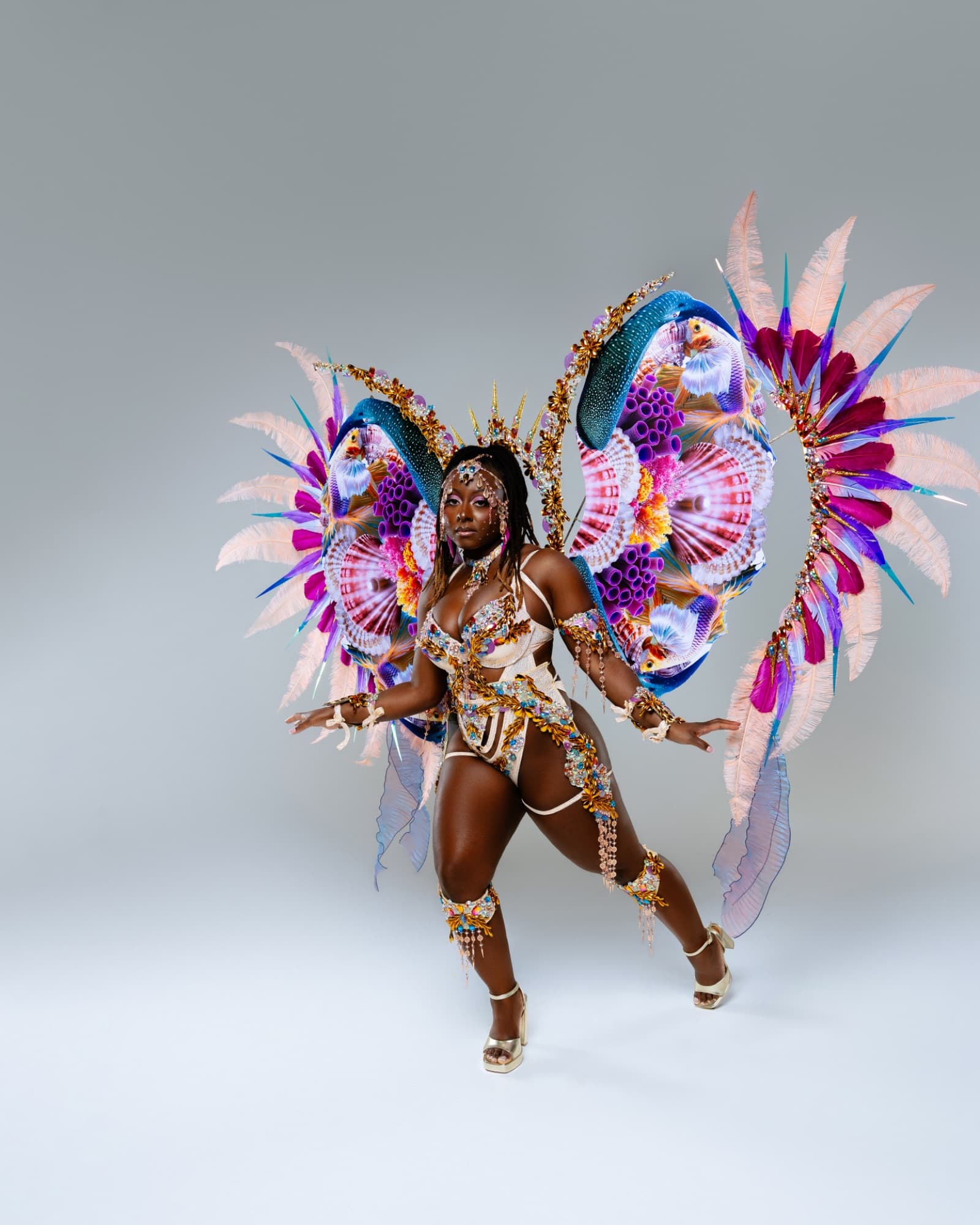 Package image
